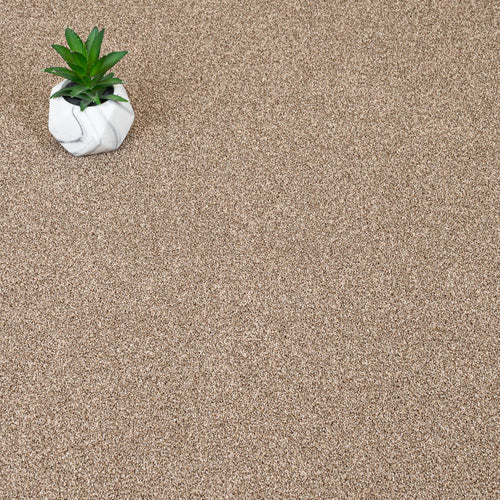 Autumn Trail Trinity Twist Carpet by Cormar