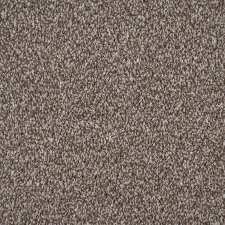 Bark Brown Vista Twist Carpet