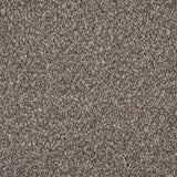 Bark Brown Vista Twist Carpet