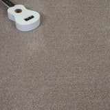 Bark Brown Vista Twist Carpet