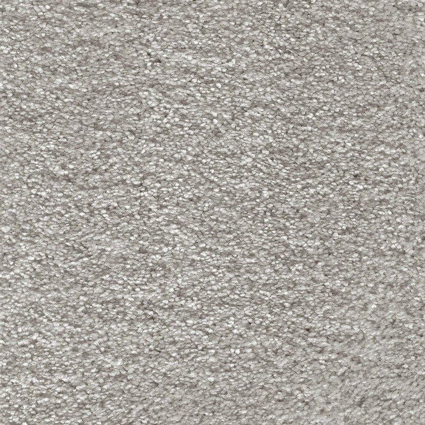 Spiritus Carpet Clearance