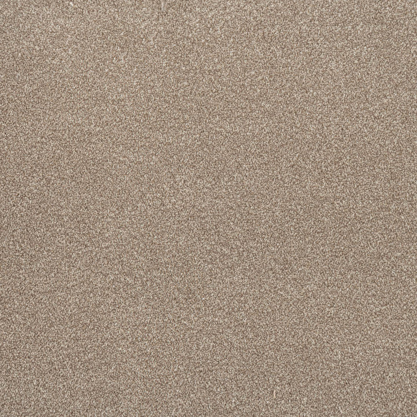 Beaver Primo Ultra Carpet by Cormar