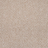 Beige Alabama Loop Carpet