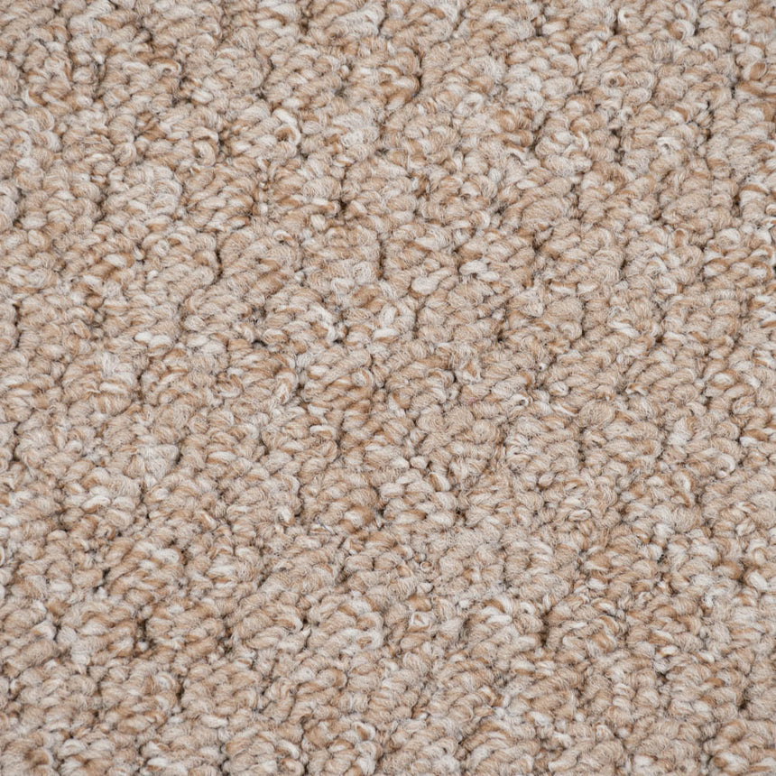 Beige Alabama Loop Carpet