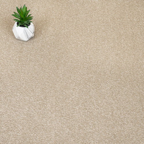 Beige Belton Feltback Twist Carpet