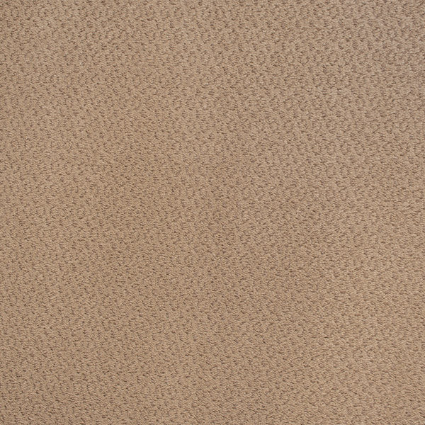 Beige Circles Castle Carpet