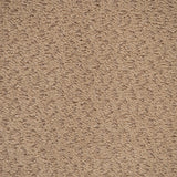 Beige Circles Castle Carpet