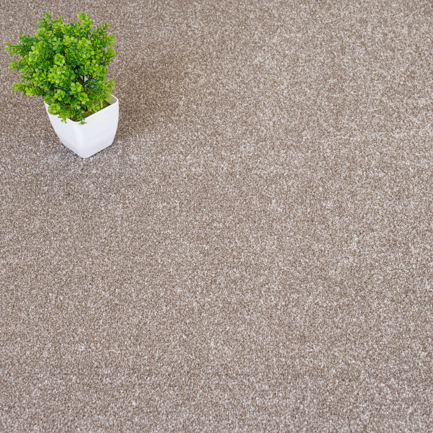 Beige Grey Delaware Saxony Carpet