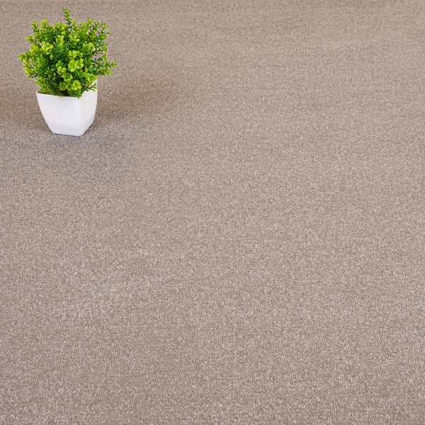 Beige Grey Quebec Twist Carpet