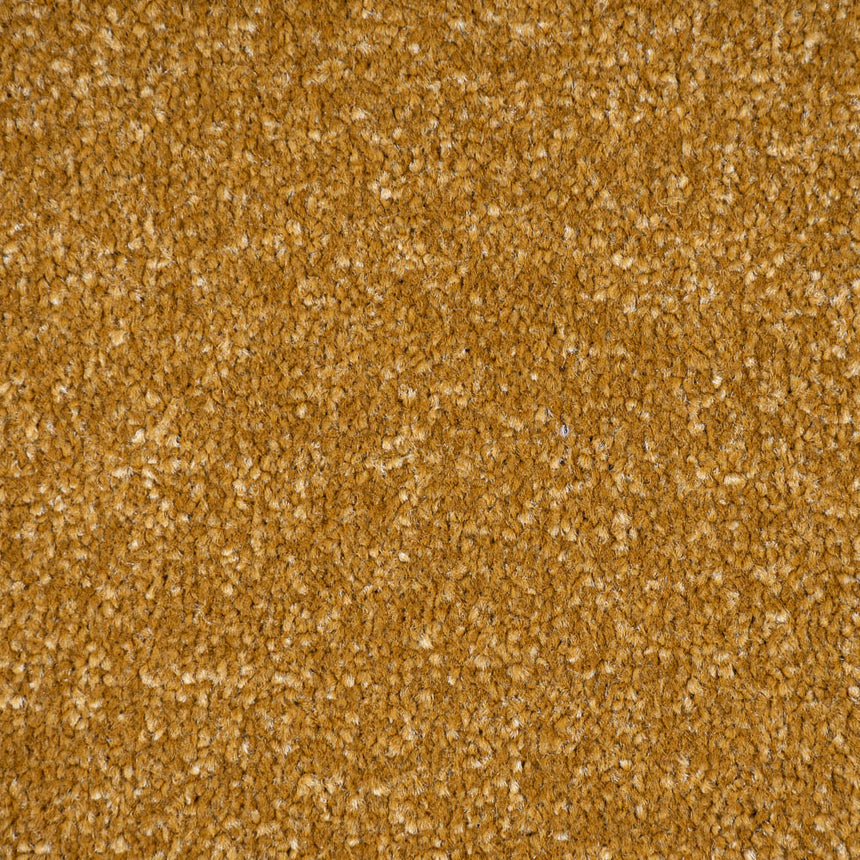 Biscuit Beige Monaco Twist Carpet