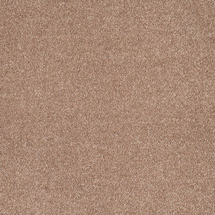 Biscuit Beige Alhambra Saxony Carpet