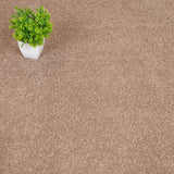 Biscuit Beige Alhambra Saxony Carpet