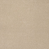 Biscuit Beige Moxie Saxony Carpet