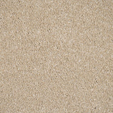 Biscuit Beige Moxie Saxony Carpet