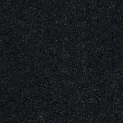 Black Raven 01 Stainfree Pure Elegance Carpet by Abingdon