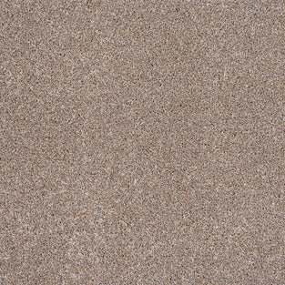 Blonde Oak 31 StainGuard Harvest Heathers Supreme Carpet