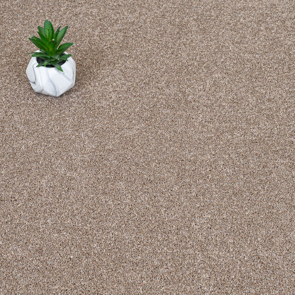 Blonde Oak 31 StainGuard Harvest Heathers Supreme Carpet