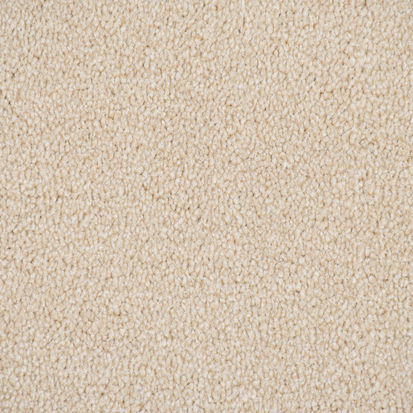 Bone Catalonia Saxony Carpet