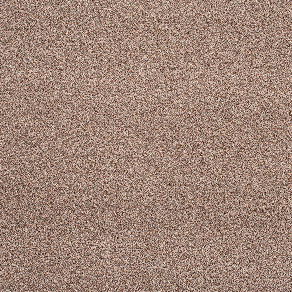 Brown Catalonia Saxony Carpet