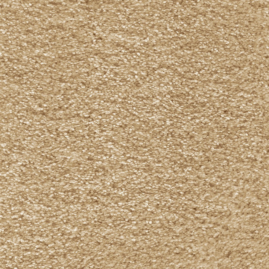 Spiritus Carpet Clearance