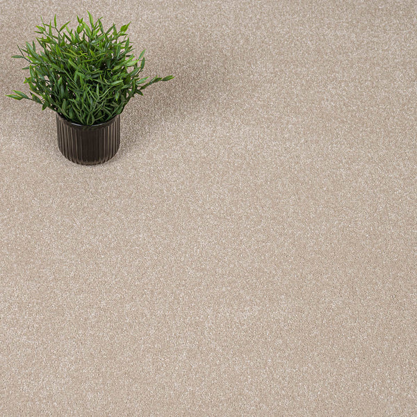 Cambrian Stone Sensation Original 60oz Carpet by Cormar