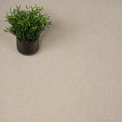 Caribou Zenith Twist Carpet by Cormar