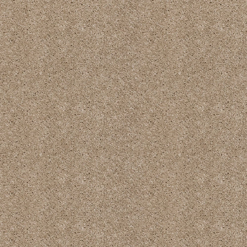 Champagne 39 Orion 50oz Invictus Carpet 2.6m x 4m Remnant