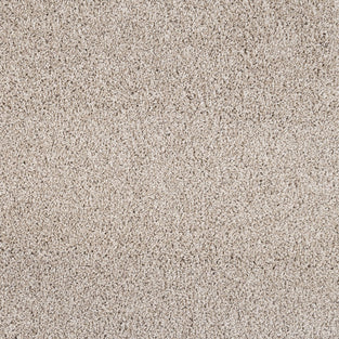 Champagne Caspian Saxony Carpet