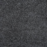 Charcoal Caspian Saxony Carpet