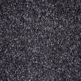 Charcoal 99 Serenity iSense Carpet