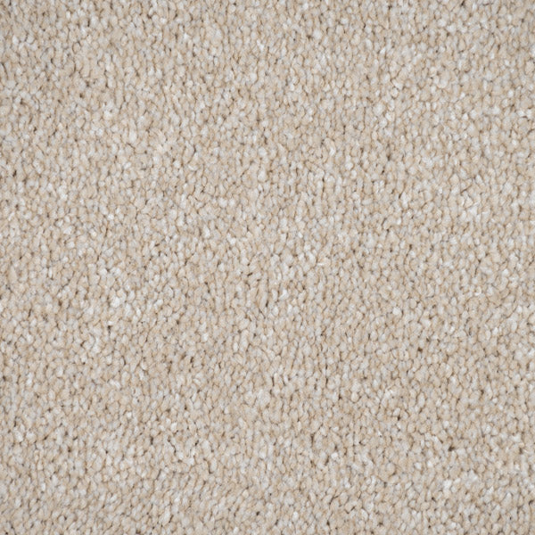 Chiffon Vision Luxury Saxony Actionback Carpet