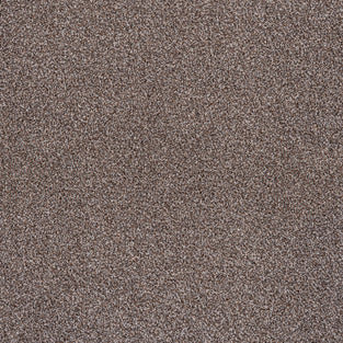 Chocolate Brown Versailles Twist Carpet