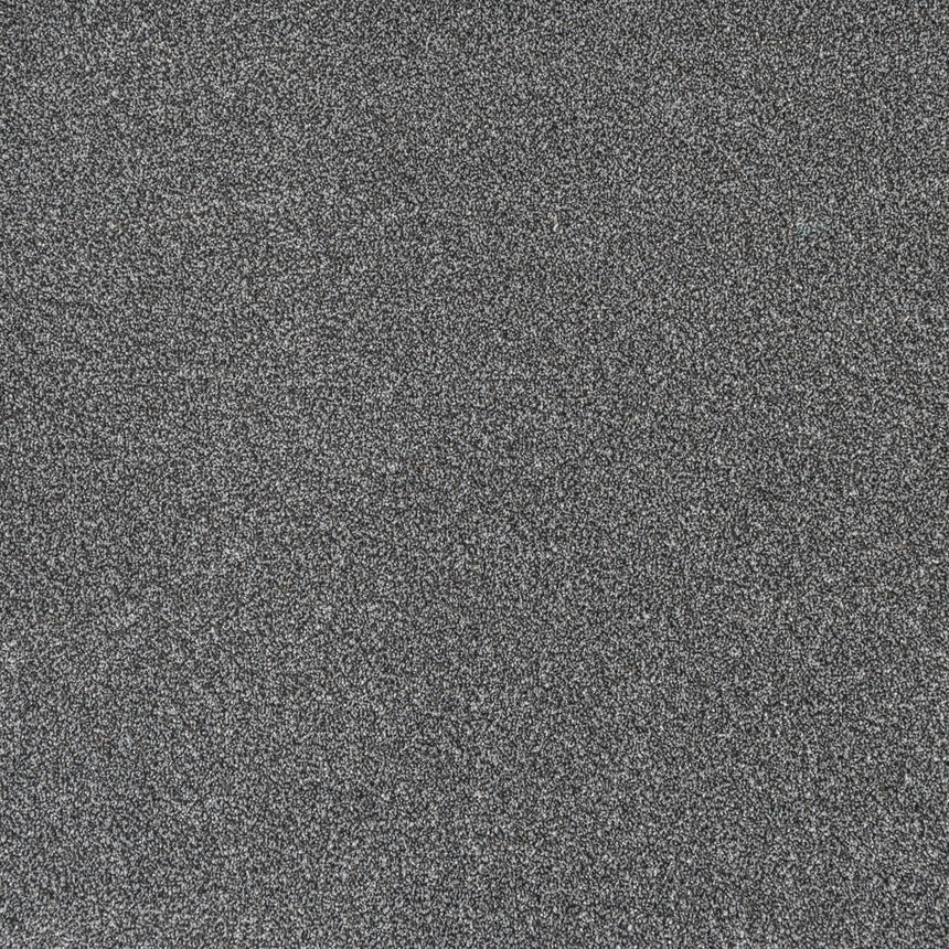 Stainfree Ultra Carpet by Abingdon