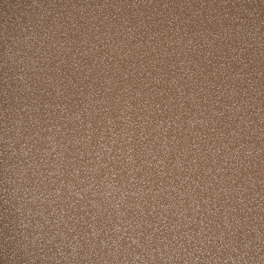 Stainfree Ultra Carpet by Abingdon