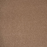 Stainfree Ultra Carpet by Abingdon