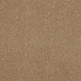 Stainfree Ultra Carpet by Abingdon