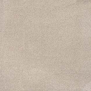 Coral White Sensation Heathers 60oz Carpet by Cormar