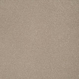 Country Beige Stainfree Ultra Carpet by Abingdon