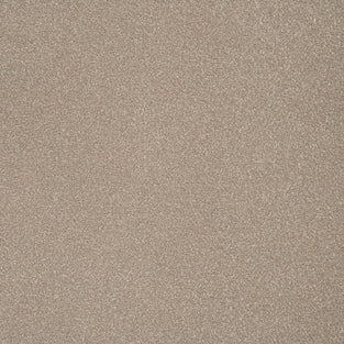 Country Beige Stainfree Ultra Carpet by Abingdon