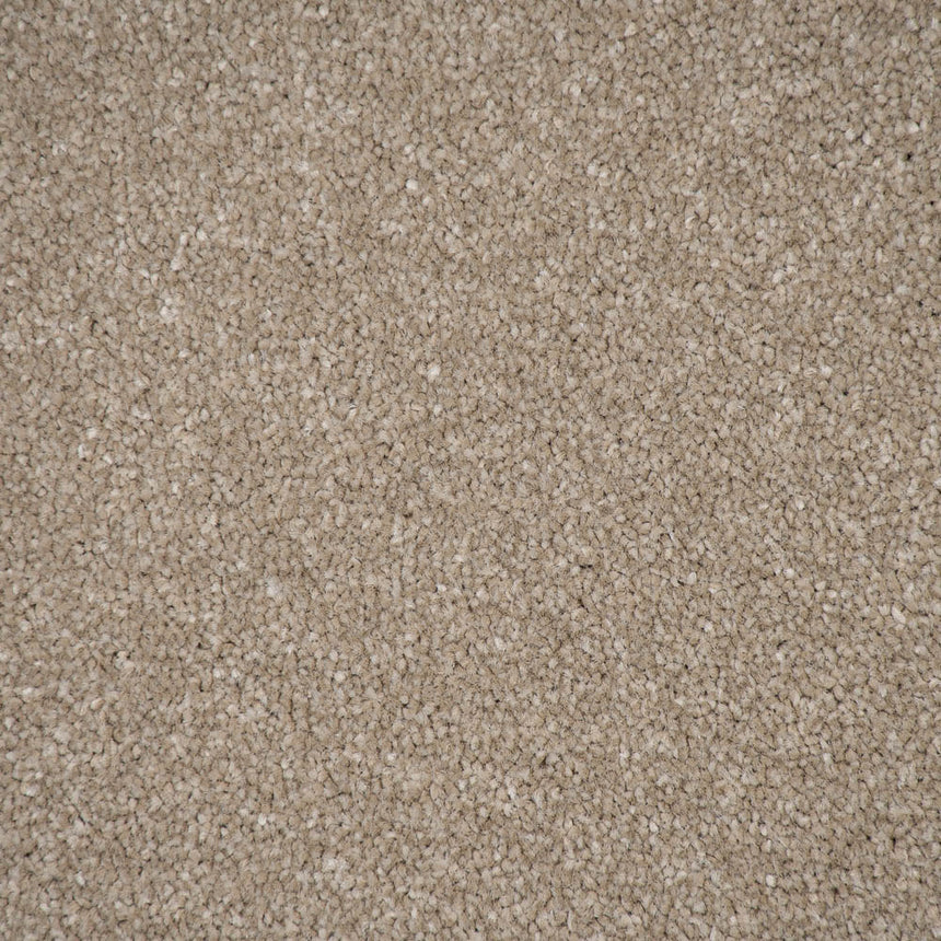 Country Beige Stainfree Ultra Carpet by Abingdon