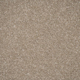 Country Beige Stainfree Ultra Carpet by Abingdon