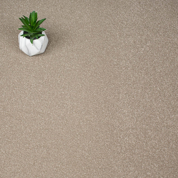 Country Beige Stainfree Ultra Carpet by Abingdon