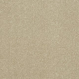 Stainfree Ultra Carpet by Abingdon