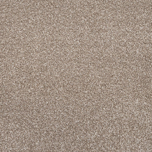 Dark Beige Zephyr Saxony Carpet