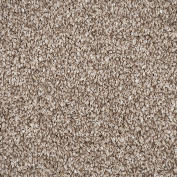 Dark Beige Zephyr Saxony Carpet