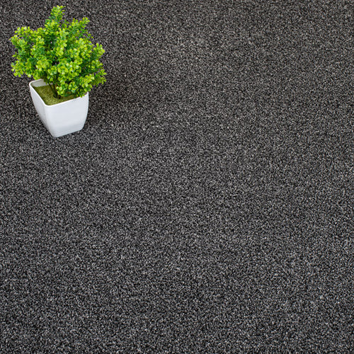 Dark Grey Catalonia Saxony Carpet