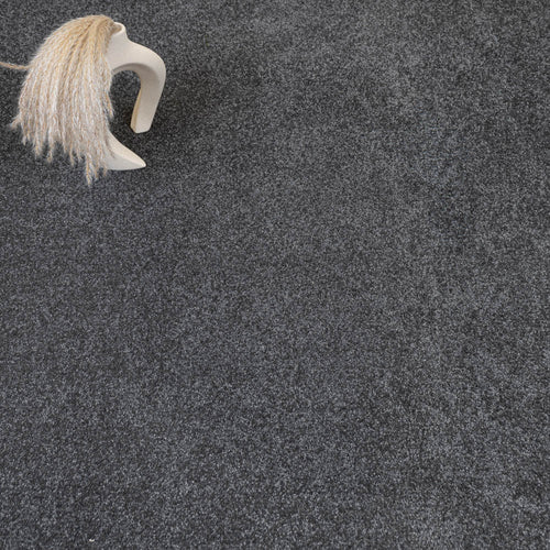 Dark Grey Moxie Saxony Carpet