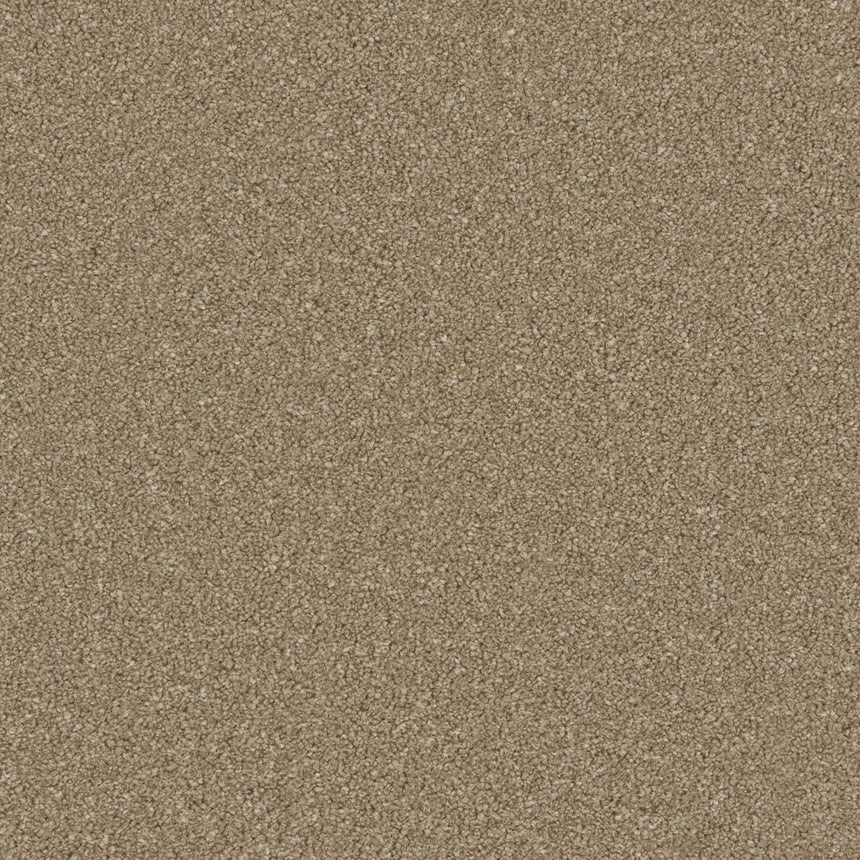 Dark Taupe Zenith Twist Carpet by Cormar