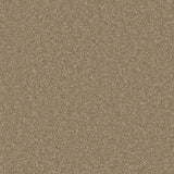 Dark Taupe Zenith Twist Carpet by Cormar