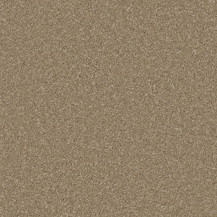 Dark Taupe Zenith Twist Carpet by Cormar